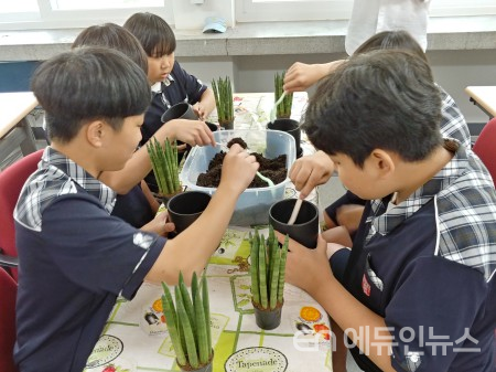 지난해 ‘농업분야 진로직업 체험교육’에 참여한 영신중학교 학생들이 반려식물 가꾸기 체험을 하고 있다.(사진제공=수원시)