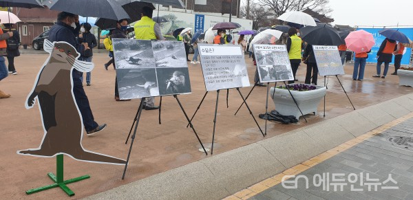 화홍문 광장에 마련된 '수달 서식지 보전 캠페인' 홍보 팻말(사진제공=수원시)
